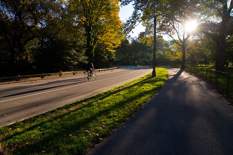 Cyclist in Early Training