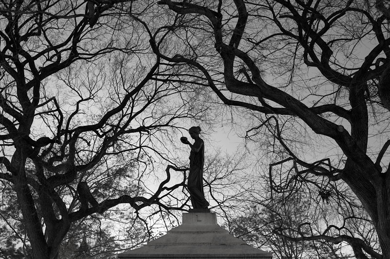 Tompkins Square Perspective